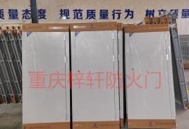 重慶鋼質(zhì)防火門生產(chǎn)廠家